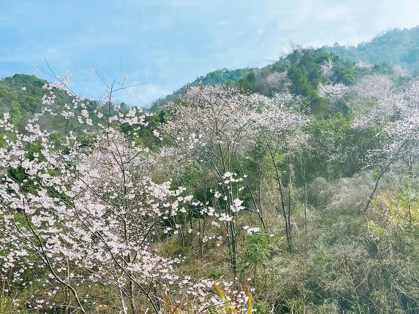 徒步赏花线路推二