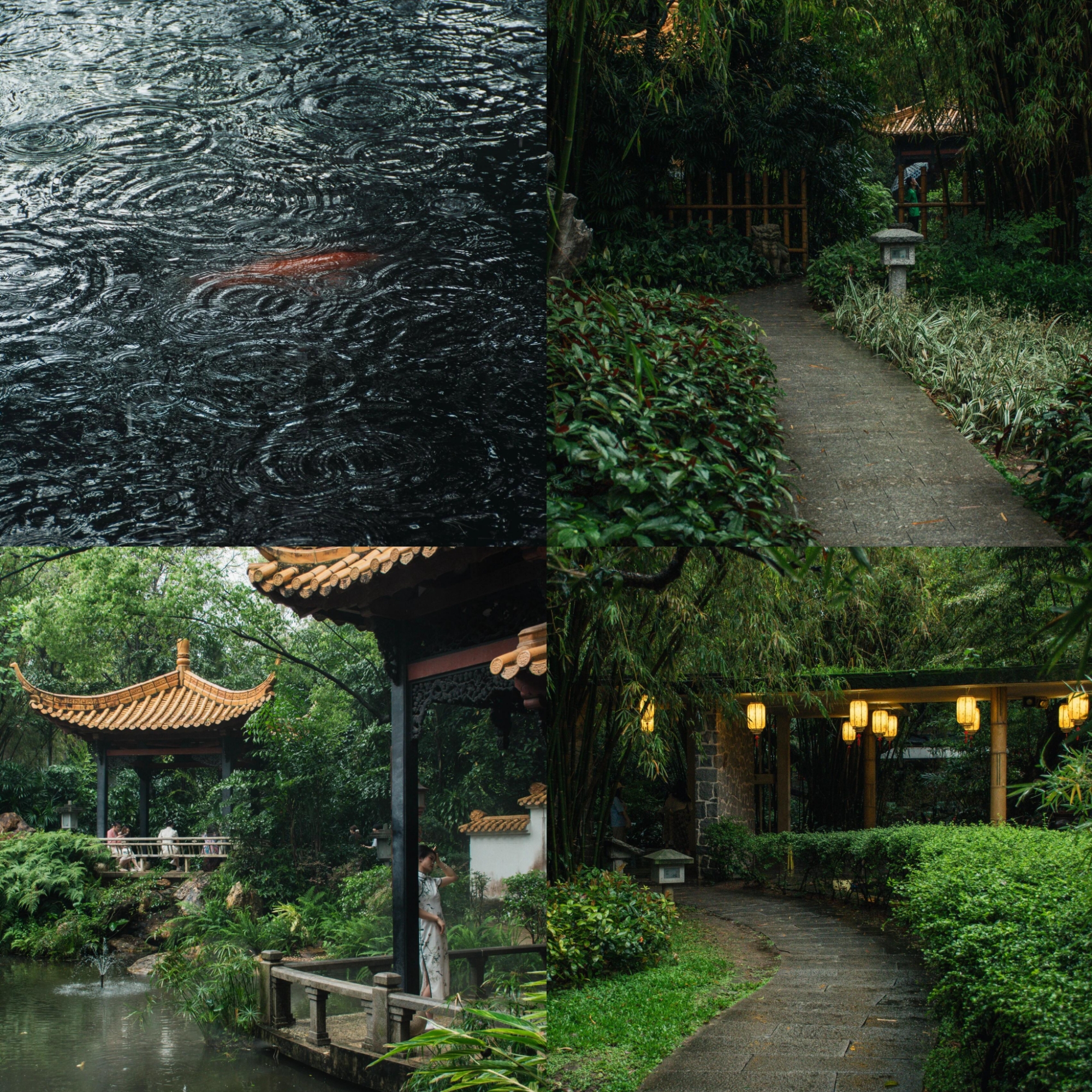 广州兰圃|一下雨，这里便成了真江南
