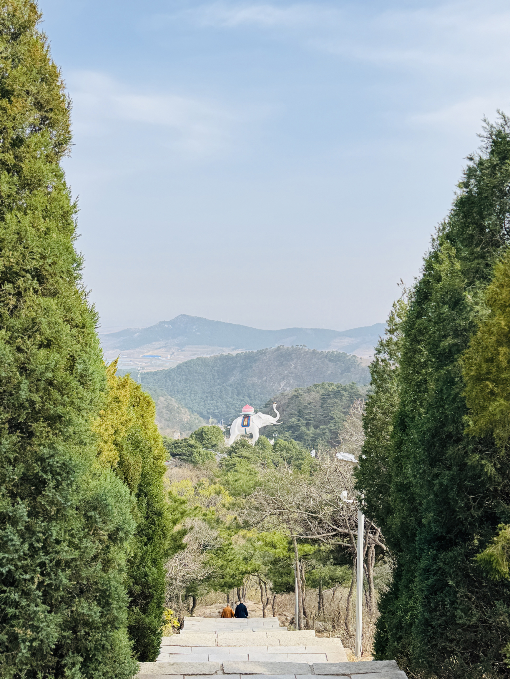 天香楼水馅包孑
