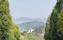 天香楼水馅包子餐厅图片