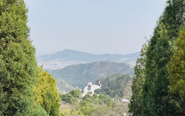 天香楼水馅包子