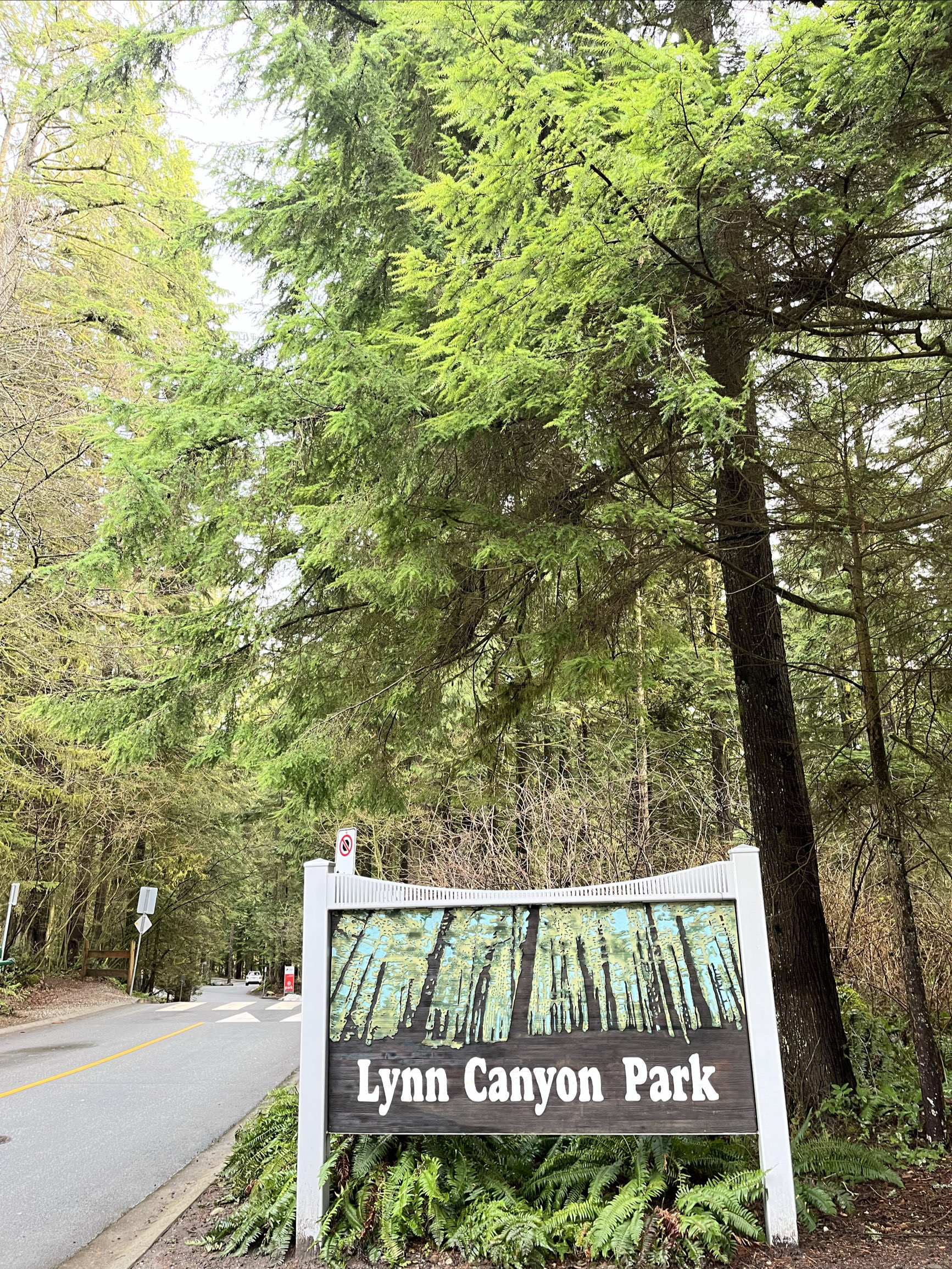 林恩峡谷公园～北温哥华徒步旅游 有停车场、公共交通可以到达 #徒步好旅行 #去了还想去的地方 #休闲
