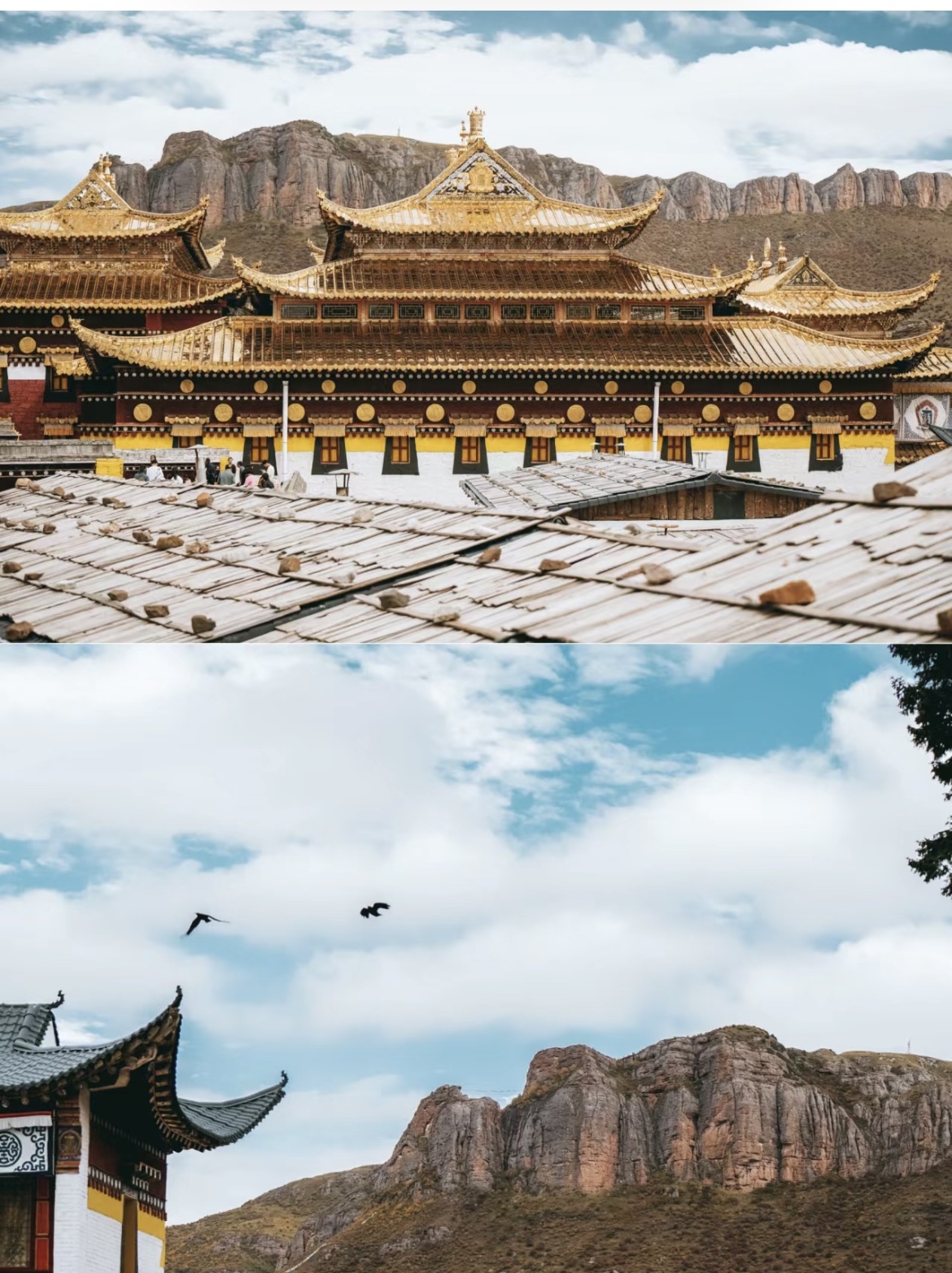 🏯郎木寺|探寻神秘的藏传文化