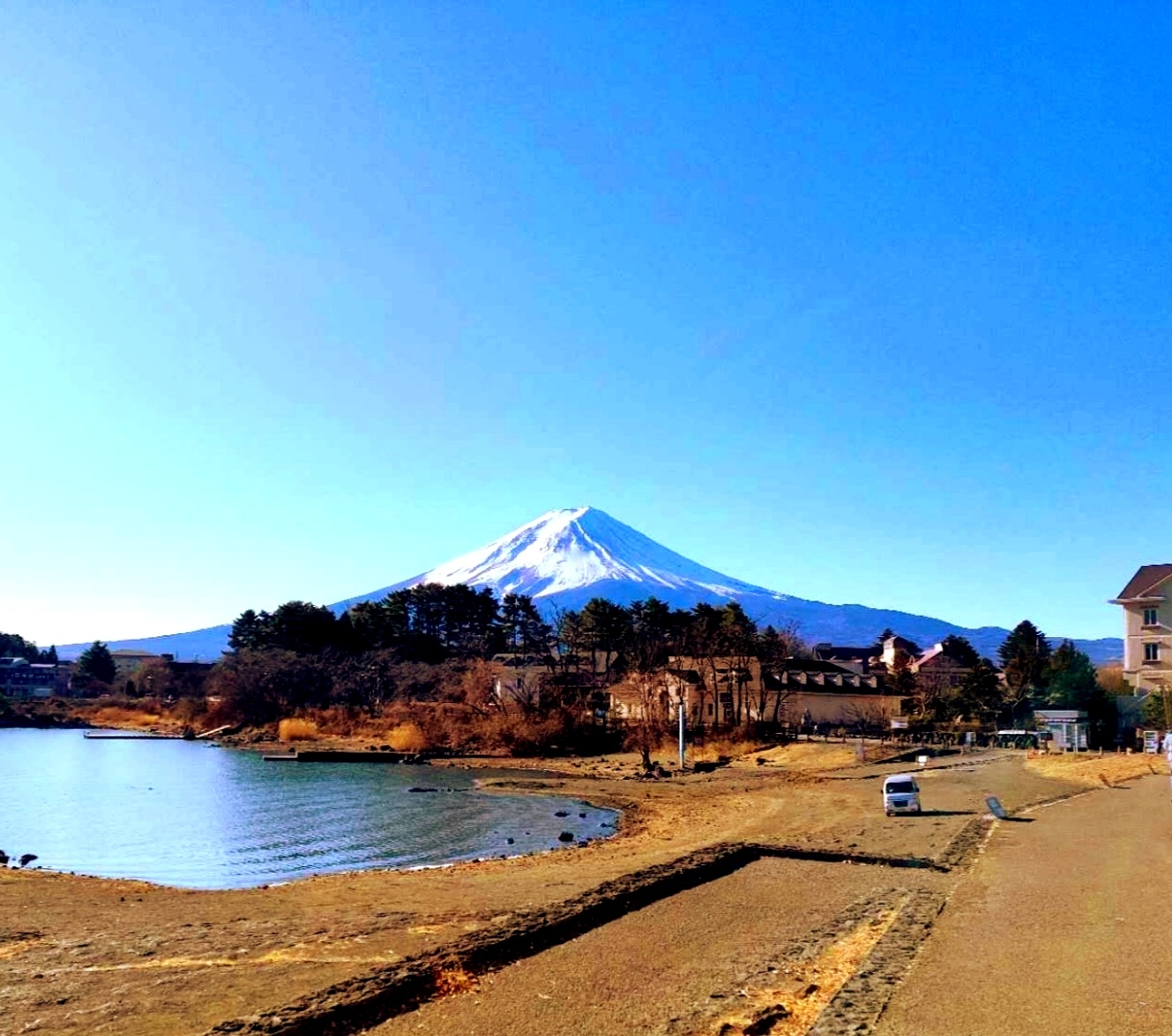 到日本旅游，爬富士山看浅草寺，你可别忘了呦🍎