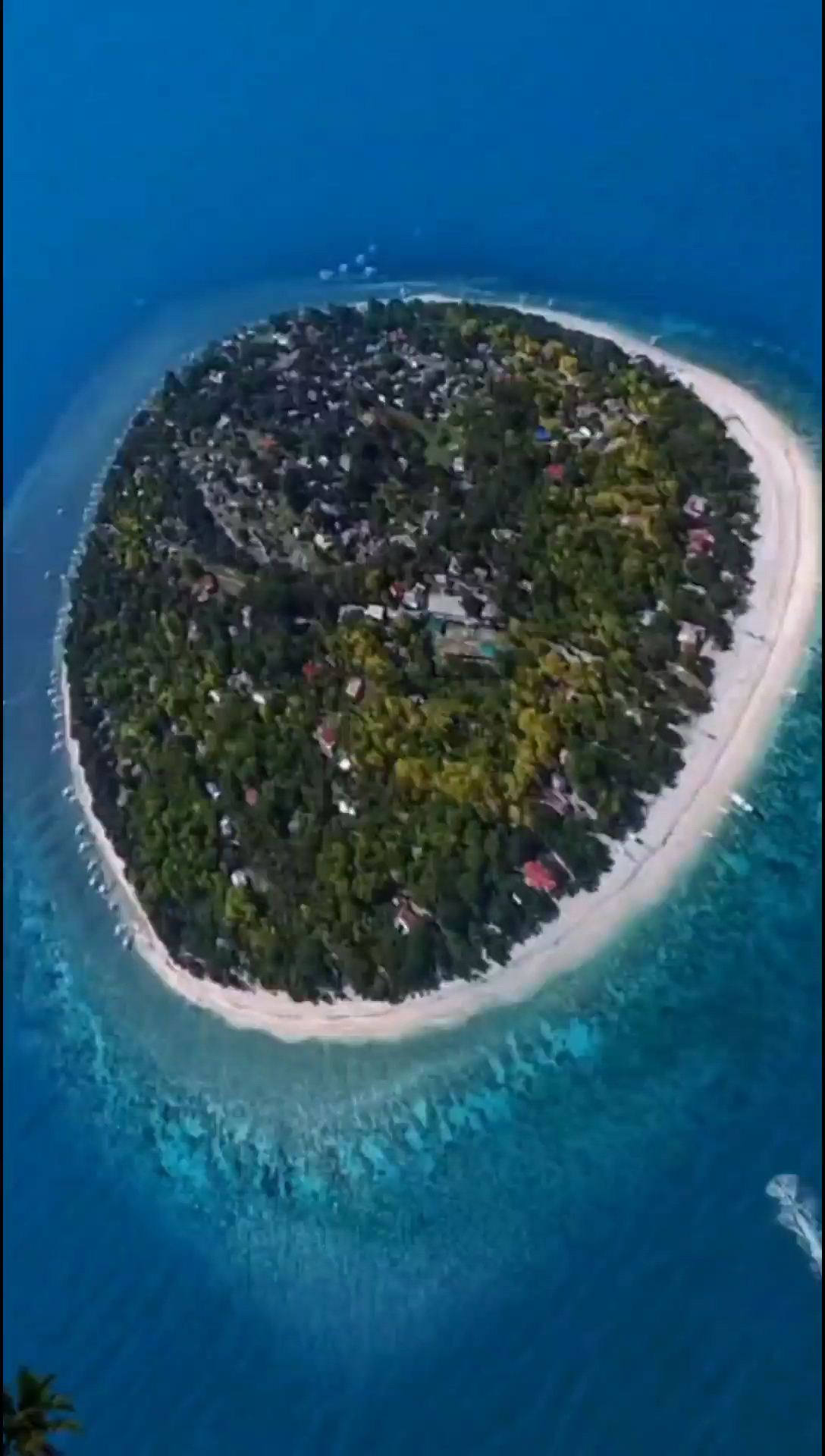 巴里卡萨岛，位于菲律宾薄荷岛附近，潜水爱好者比打卡，号称潜水的天花板，著名巴里卡萨大断层所在地，落差