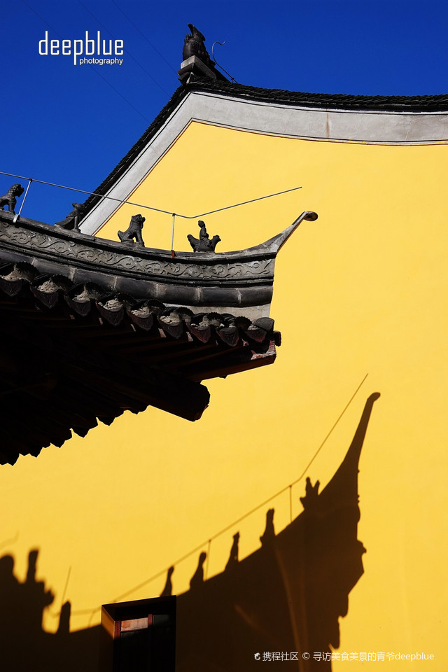 镇江|焦山定慧寺