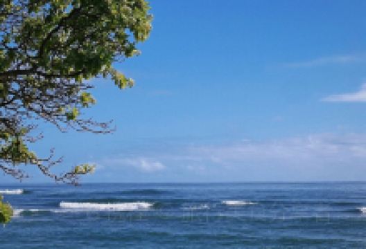 Poipu Beach景点图片