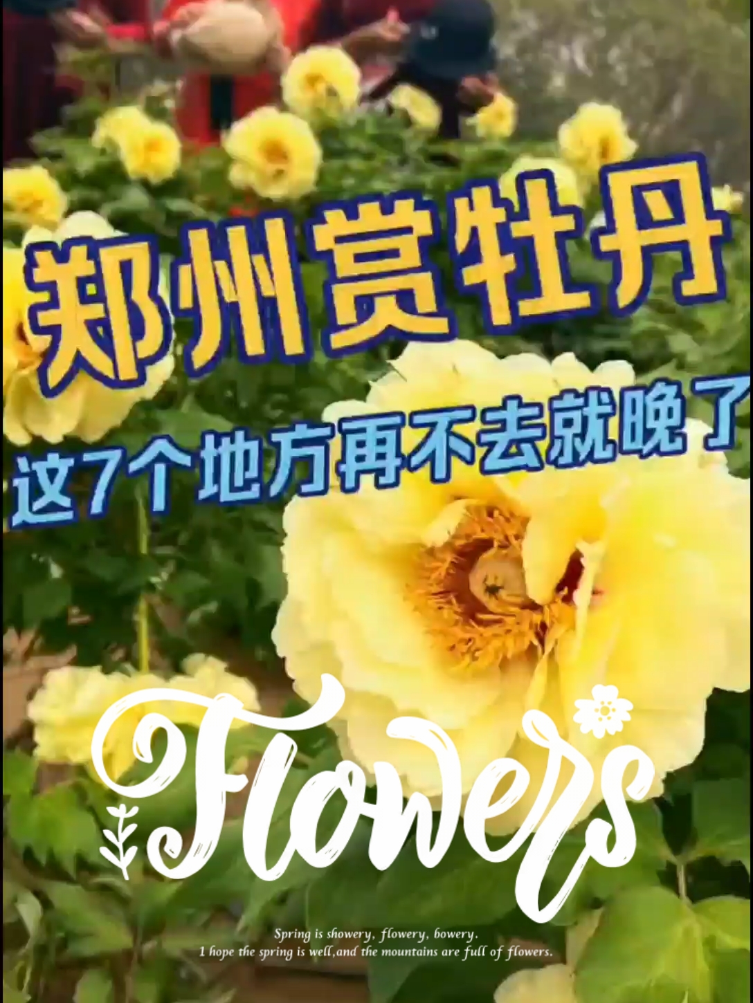 郑州邀你赏花