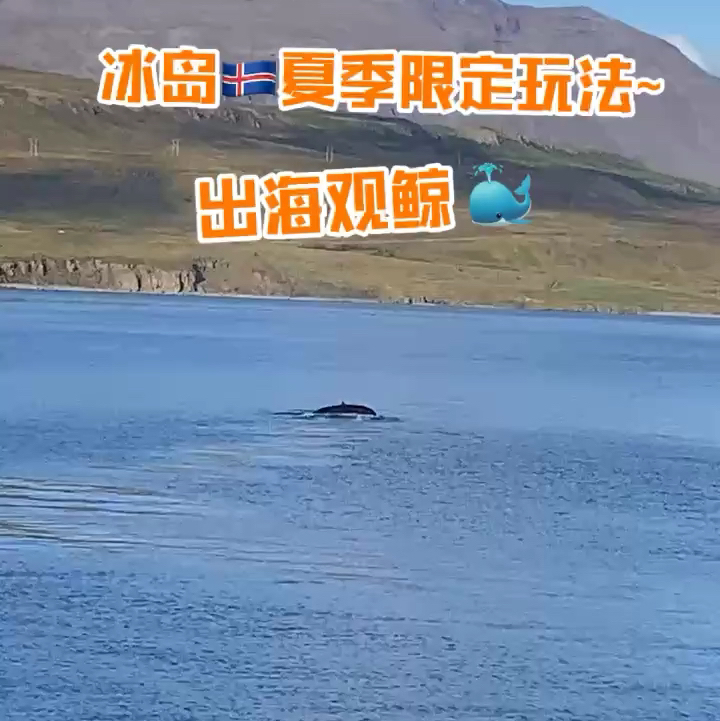 冰岛🇮🇸夏季限定玩法～