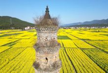 仰山文塔景点图片