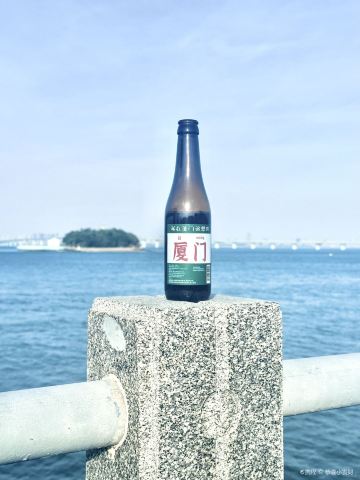 花屿东路拍飞机打卡点
