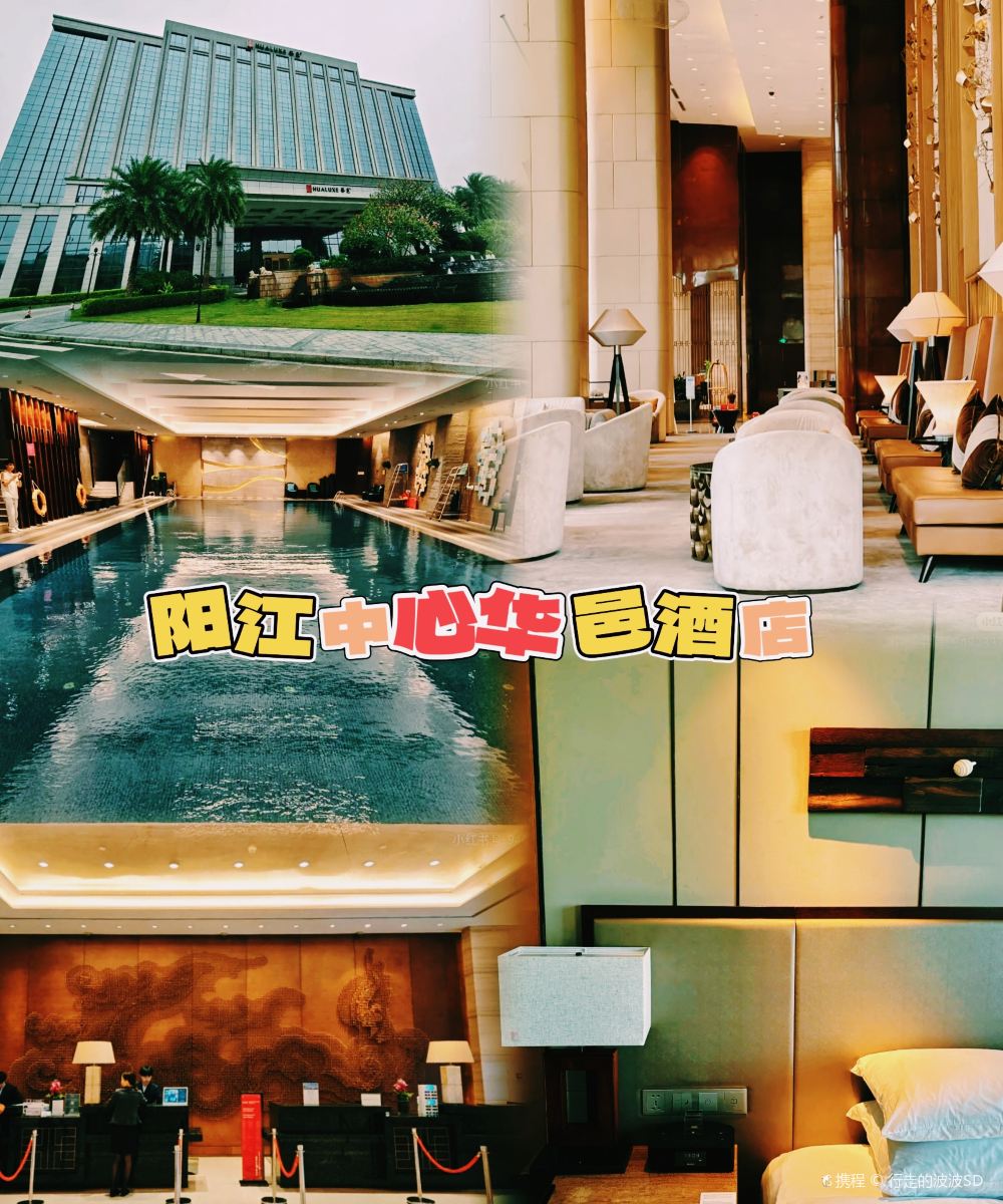 阳江中心华邑酒店图片