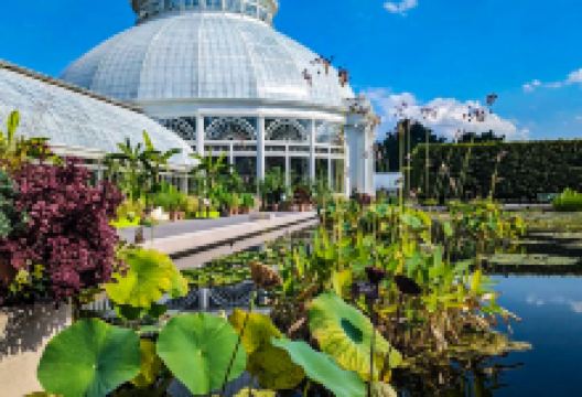 纽约植物园景点图片
