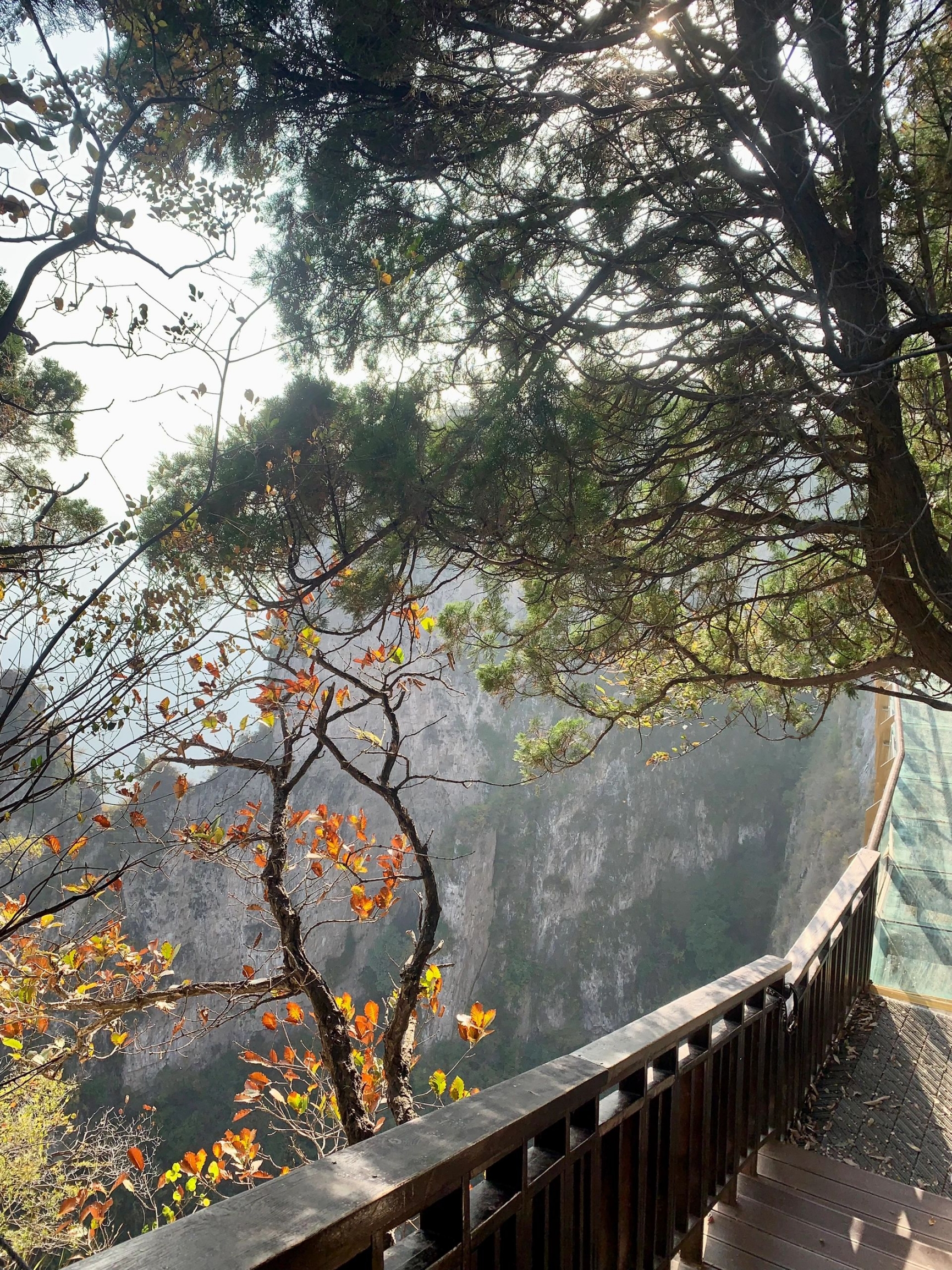 云台山📍旅游| 保姆级旅游攻略