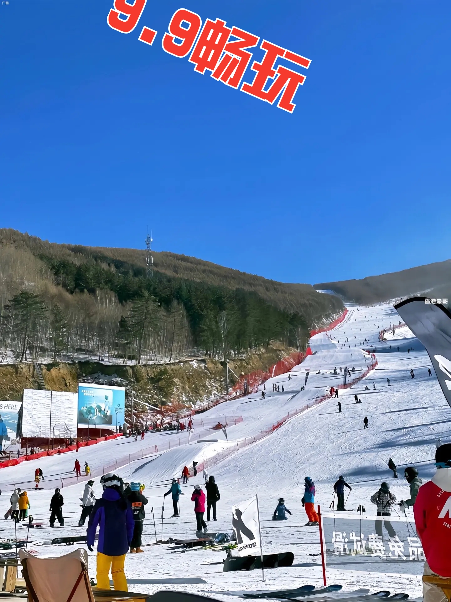 宁津蟋蟀谷滑雪场9.9畅玩一整天#滑雪🏂 #雪地里撒欢 #奔赴一场雪的快乐 #冬天该有的样子