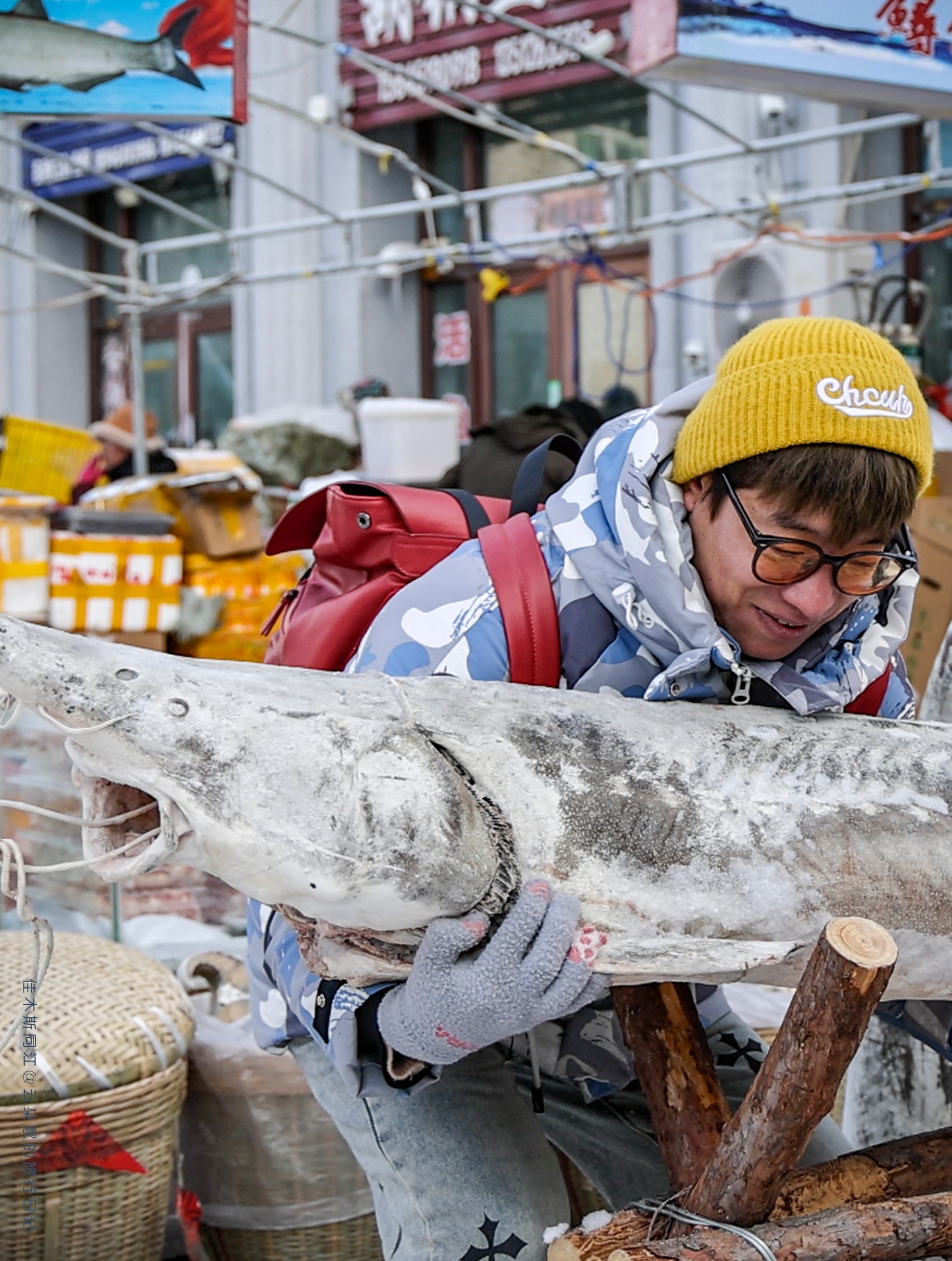 东北冬天限定，2米长的江鱼站着卖！