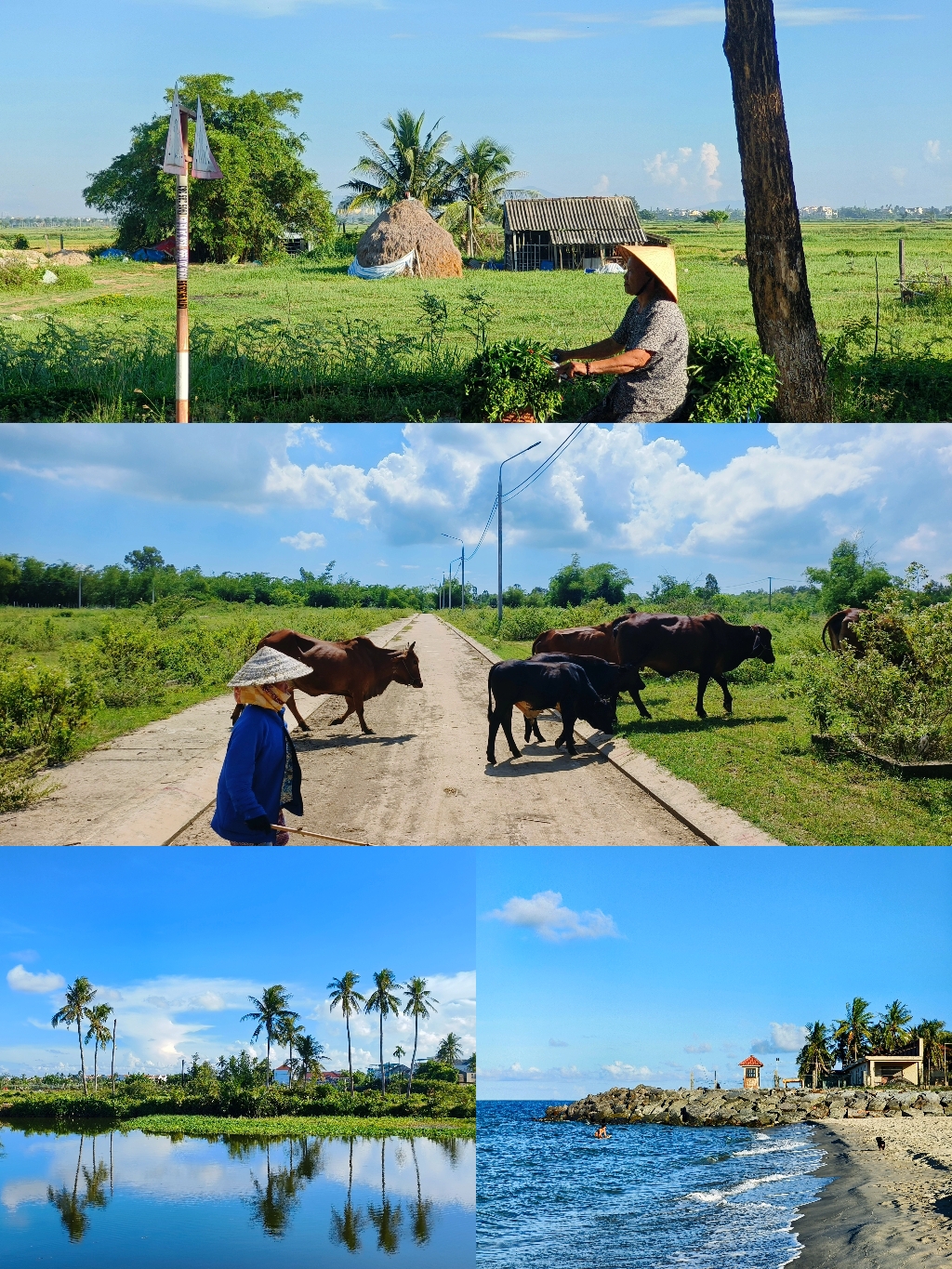 🇻🇳不止于古城，这样的会安你见过没？