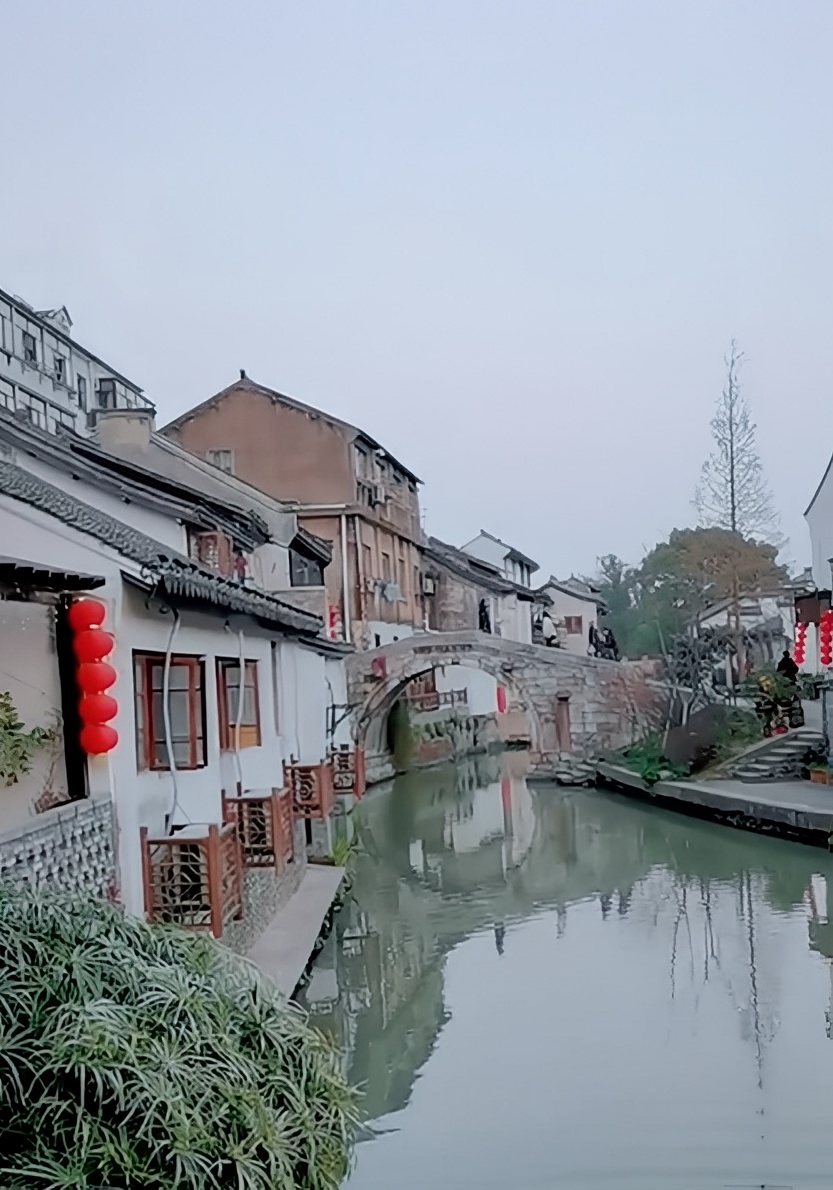 朝思暮想都要去的上海郊区古镇