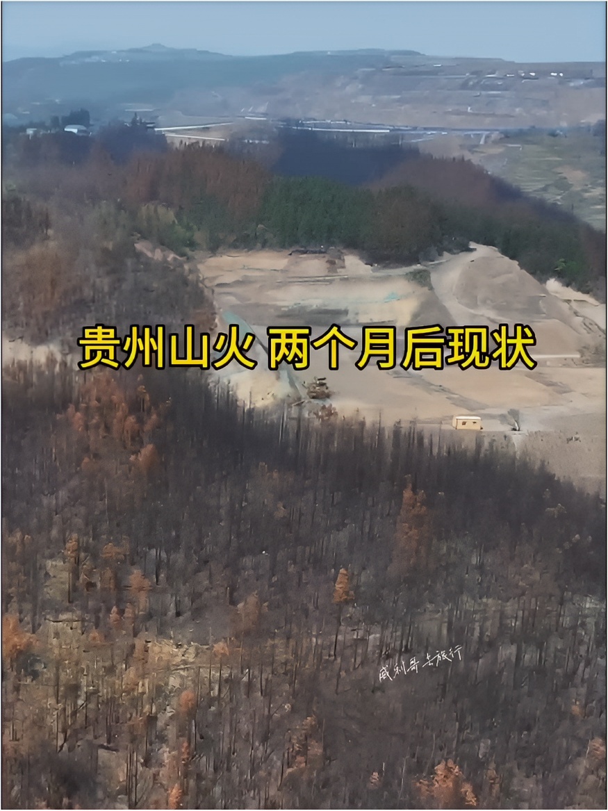 贵州山火两个月后现状