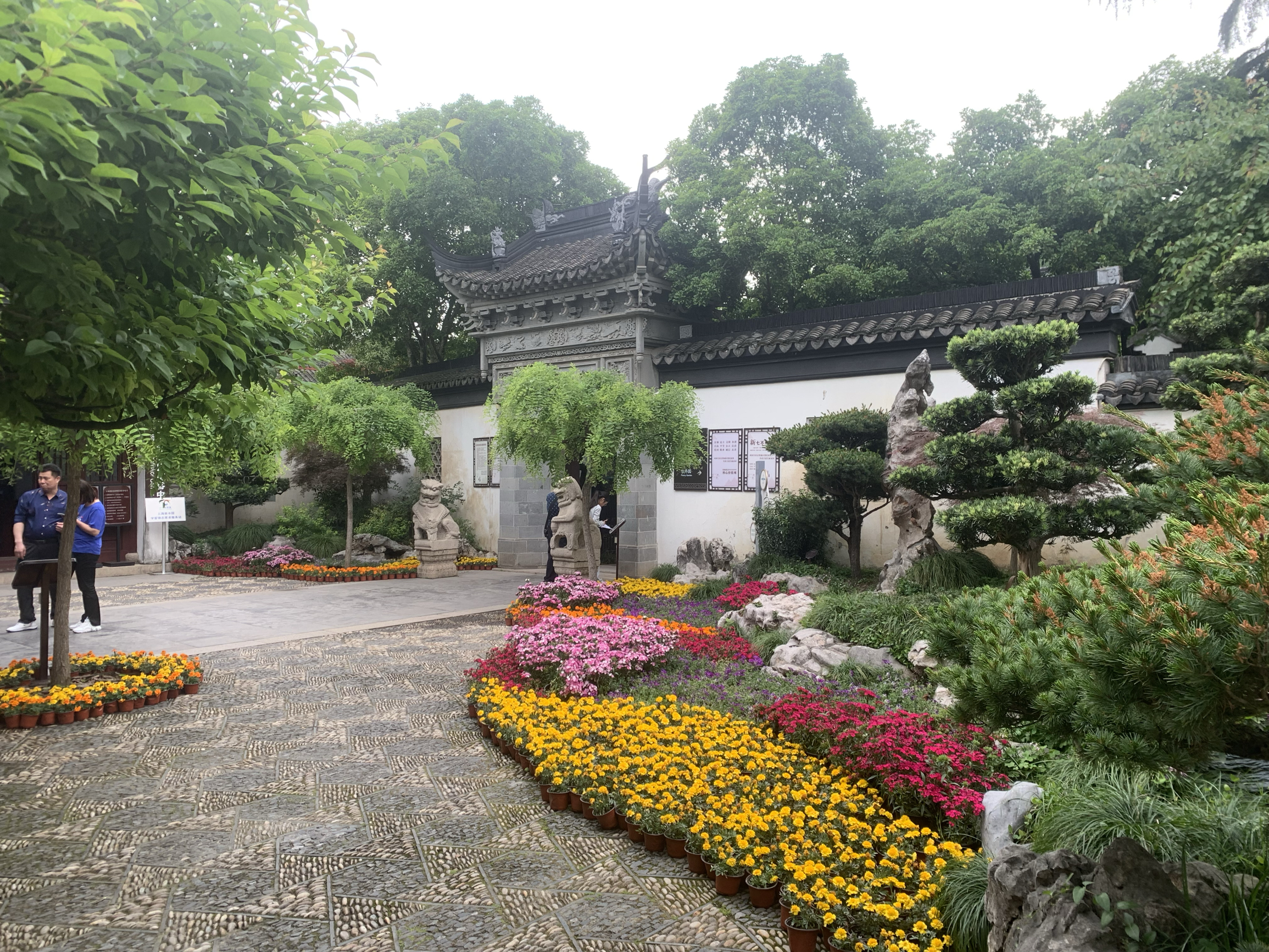 上海这么美的园子竟然免费！而且人少！