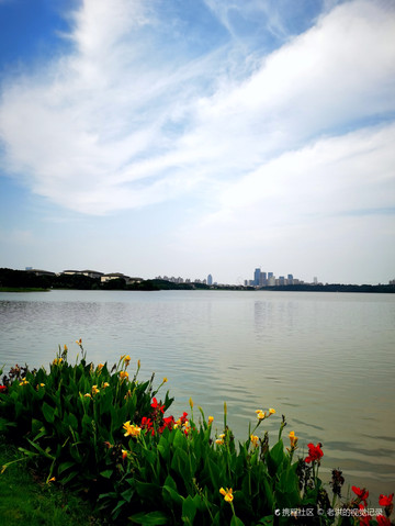 新建区周边游_旅游|南昌前湖湿地公园