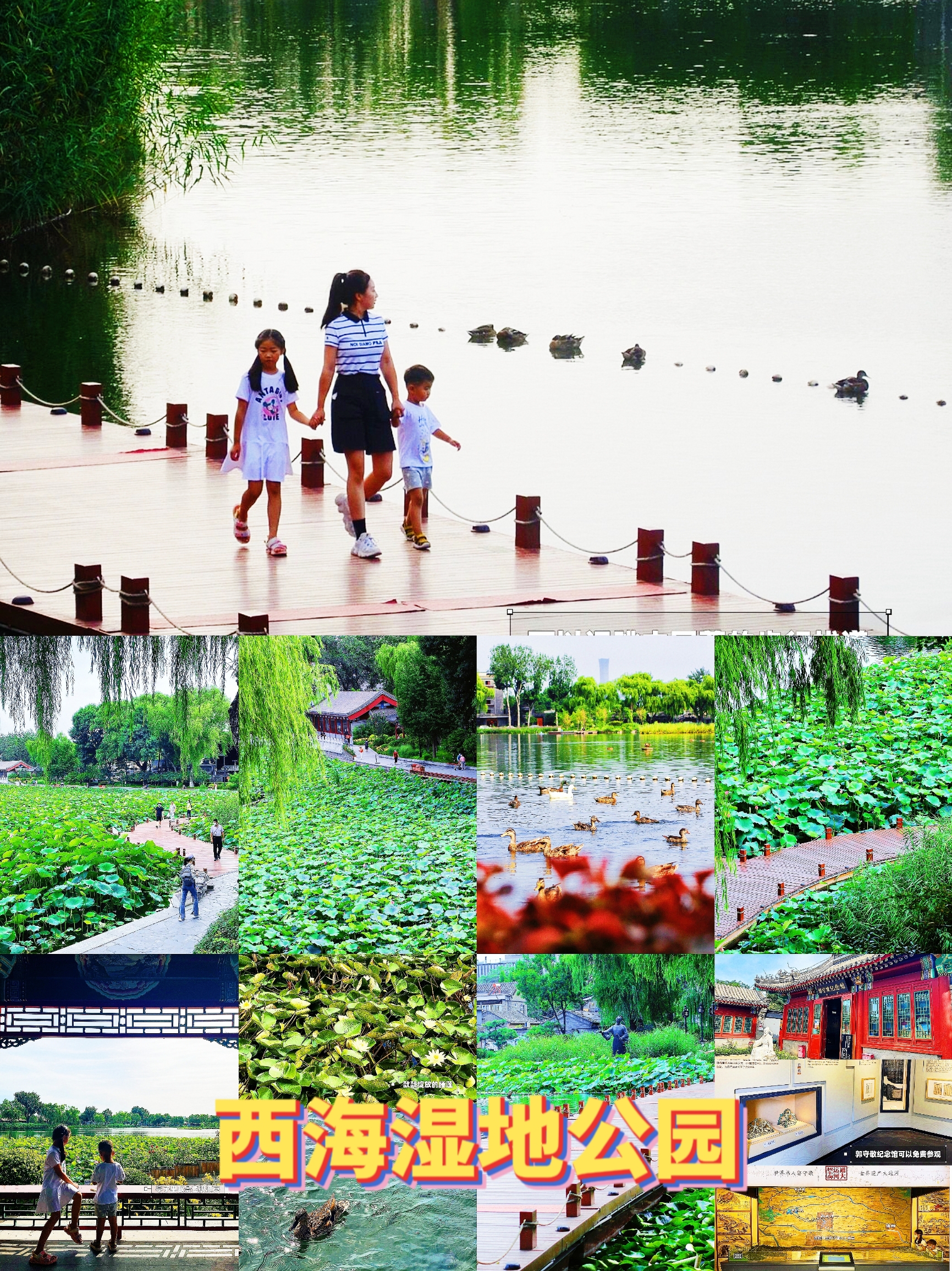 🌈旅游参观北京西海湿地公园