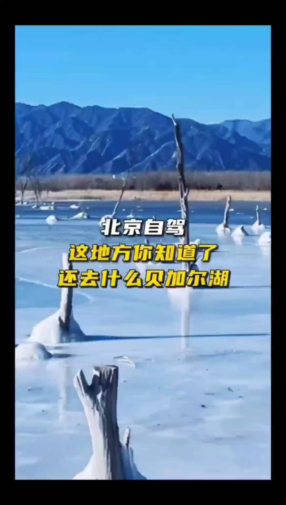 妫水河~在北京｜看“蓝冰”就去这儿🧊