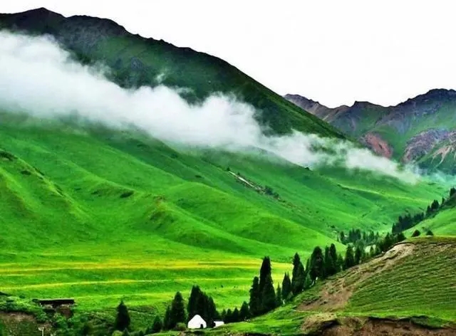 新疆绝美秘境唐布拉草原：游客心驰神往的“百里画廊”