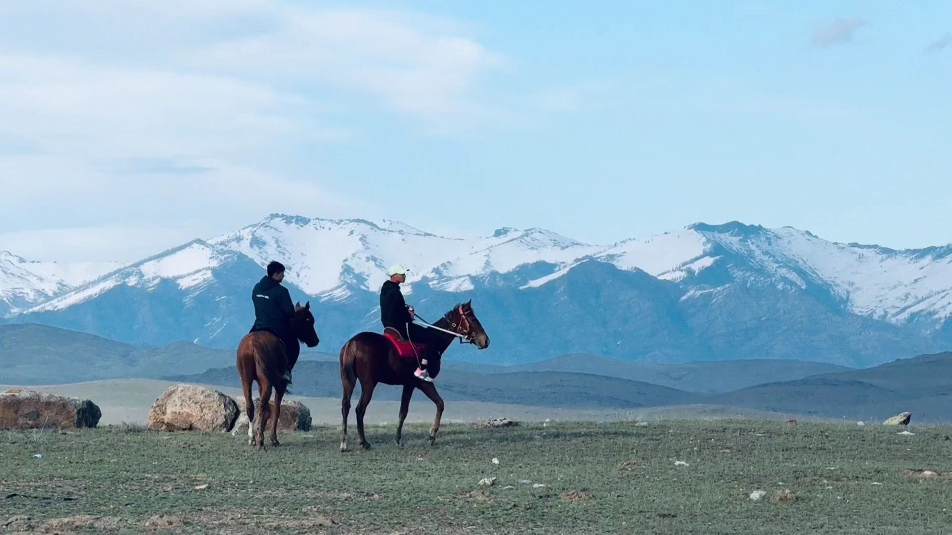 #新疆骑马 #野骑 #又到了草原骑马季