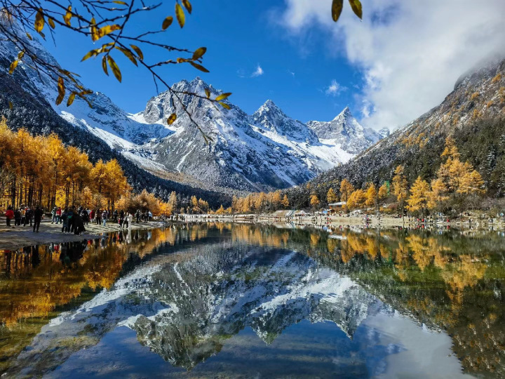 永利藏餐(马尔康八六藏餐分店)餐厅图片