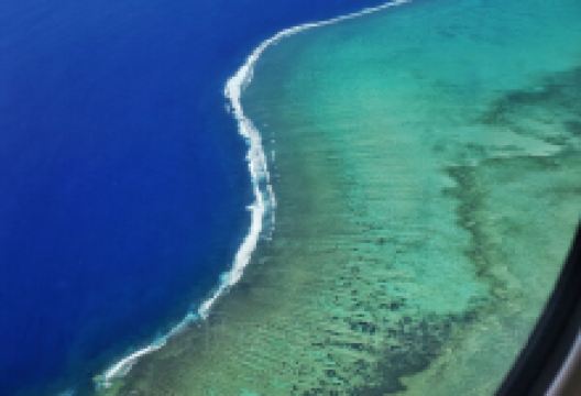 J. Hunter Pearls购物图片