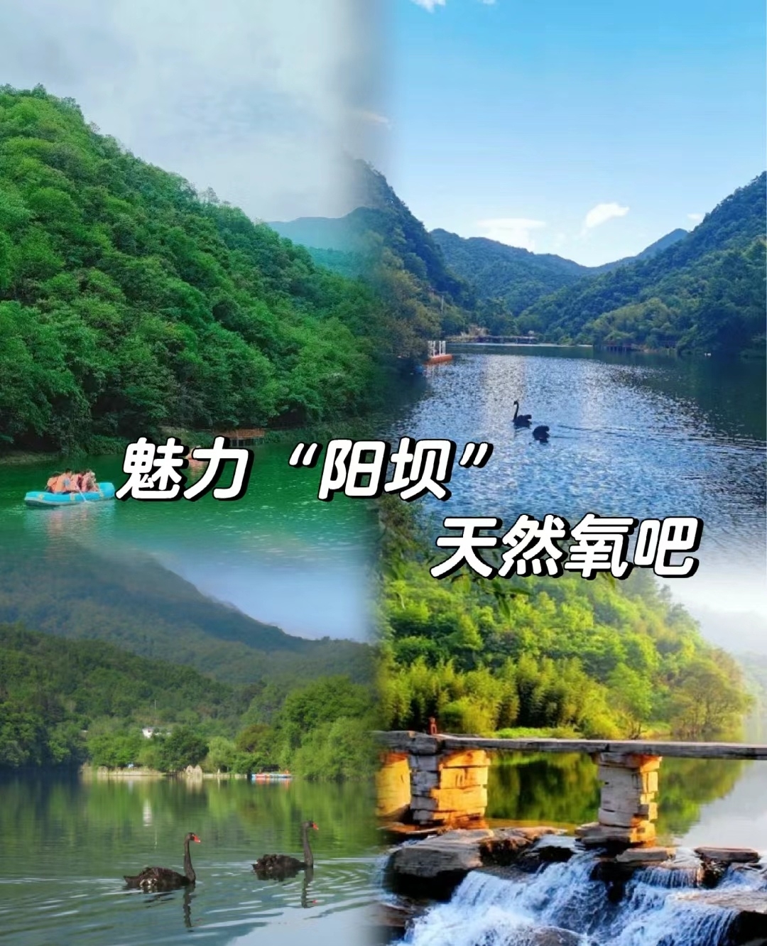 陇南阳坝位于甘肃省陇南市康县，这里有美丽的自然风光，也有丰富的历史文化。以下是一篇详细的游玩攻略： 