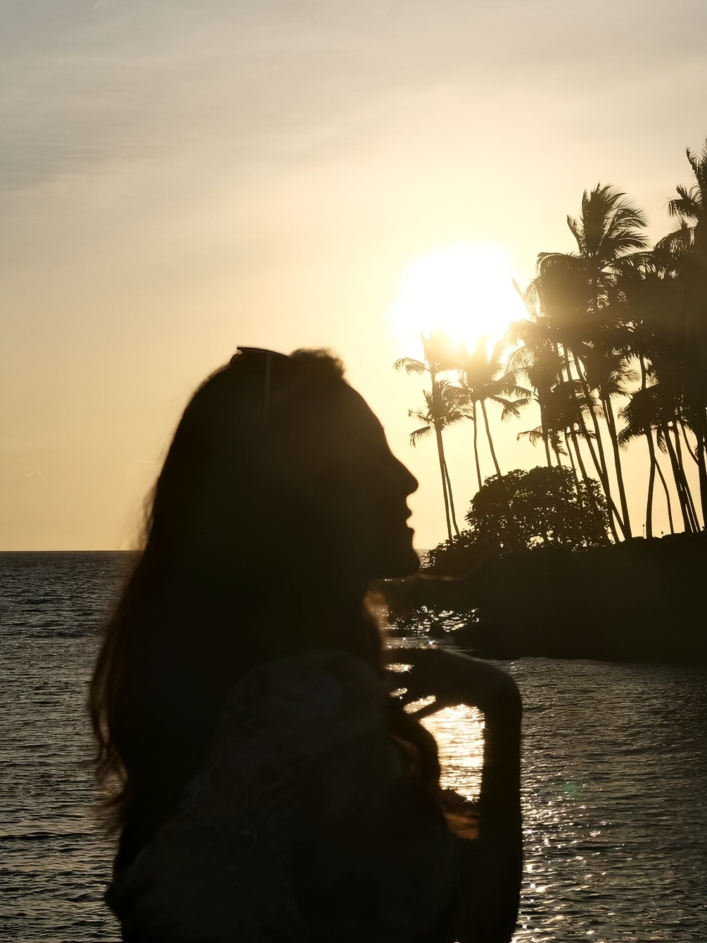 夏威夷大岛|不忙的话就陪我去海边看日落吧