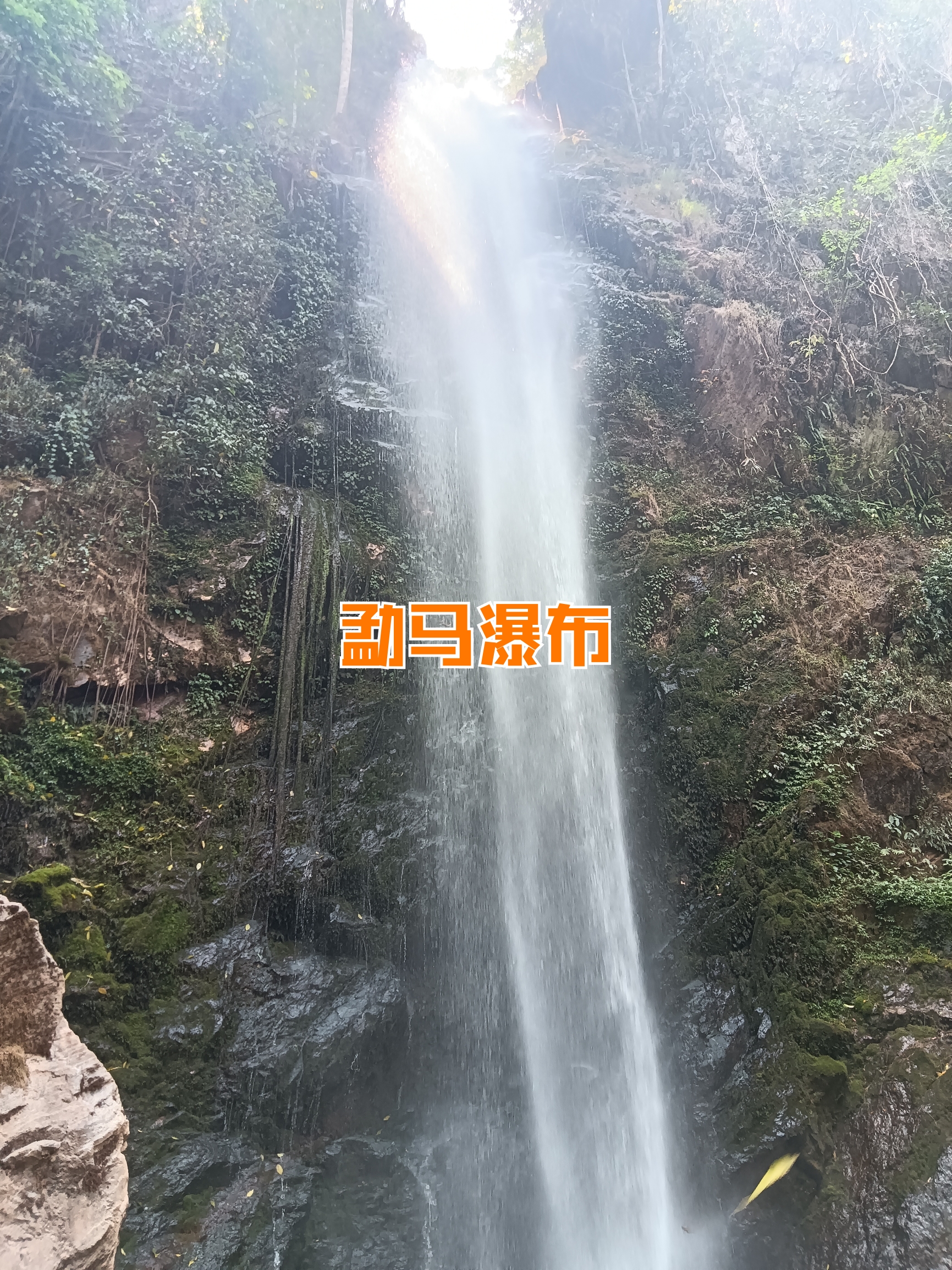 景迈山之游，孟连之游，澜沧、西盟等各县之游，普洱市区游包车的找我