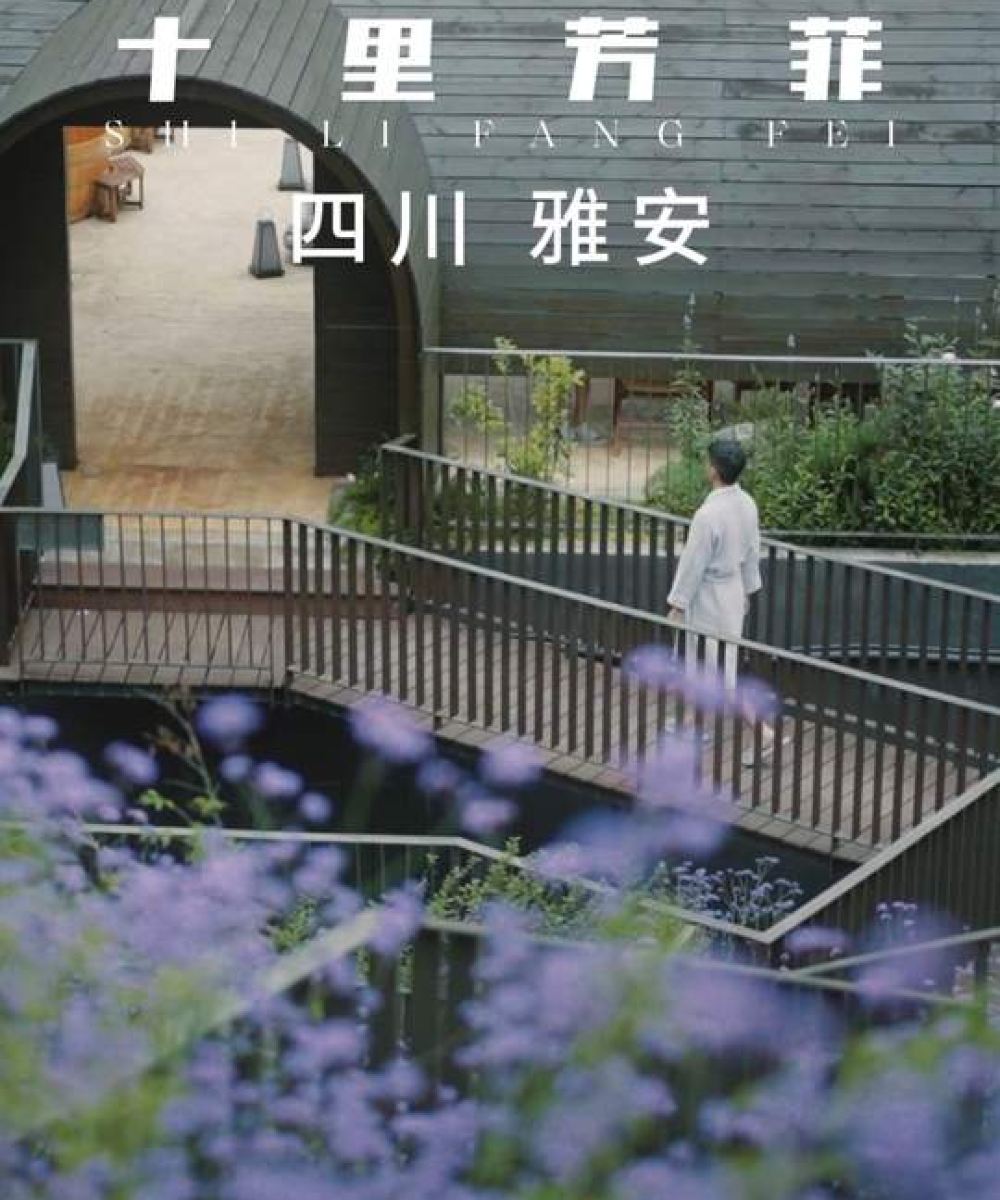 雅安十里芳菲·野玫瑰温泉村落图片