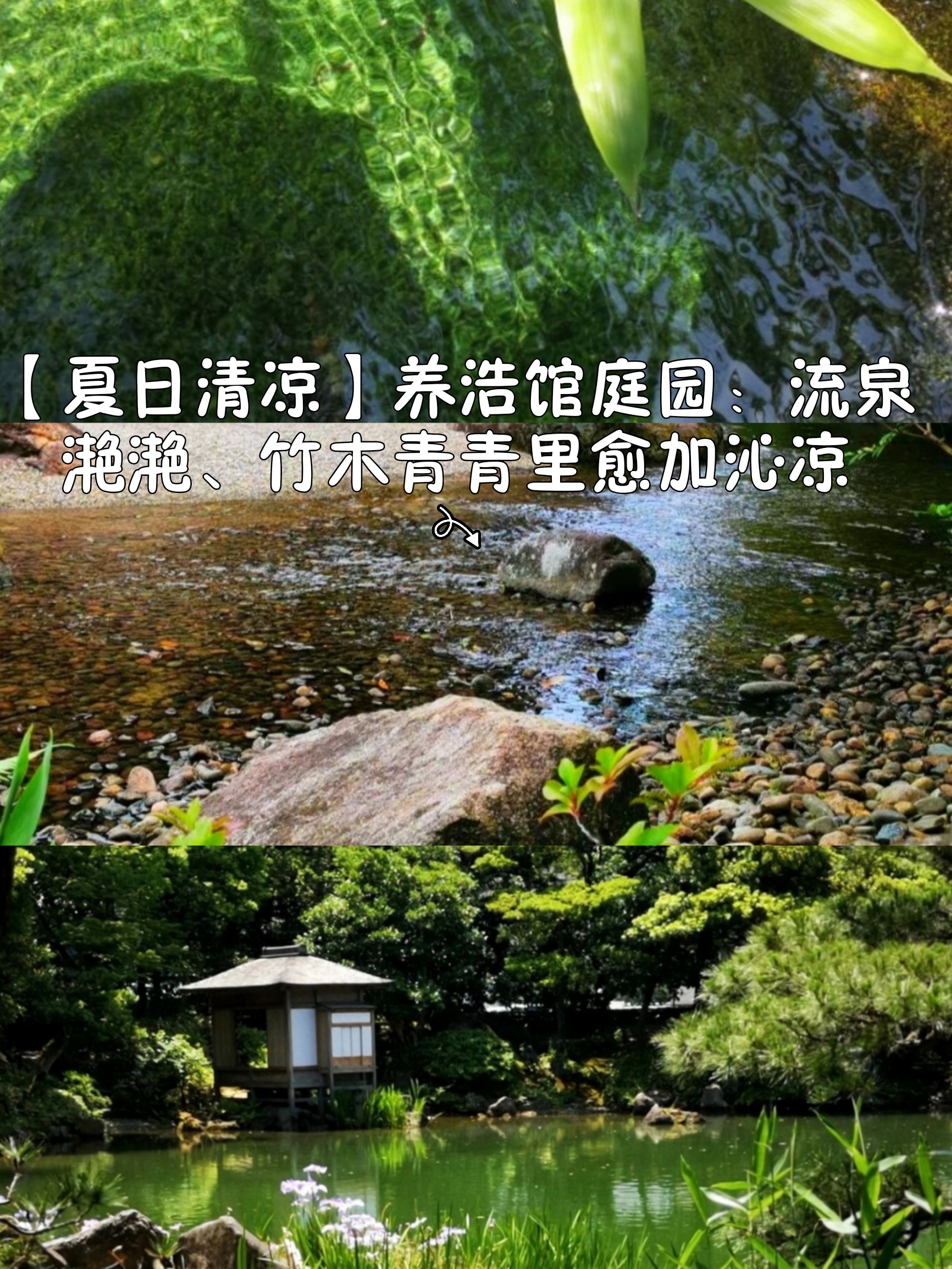 【夏日清凉】养浩馆庭园：流泉滟滟、竹木青青里愈加沁凉