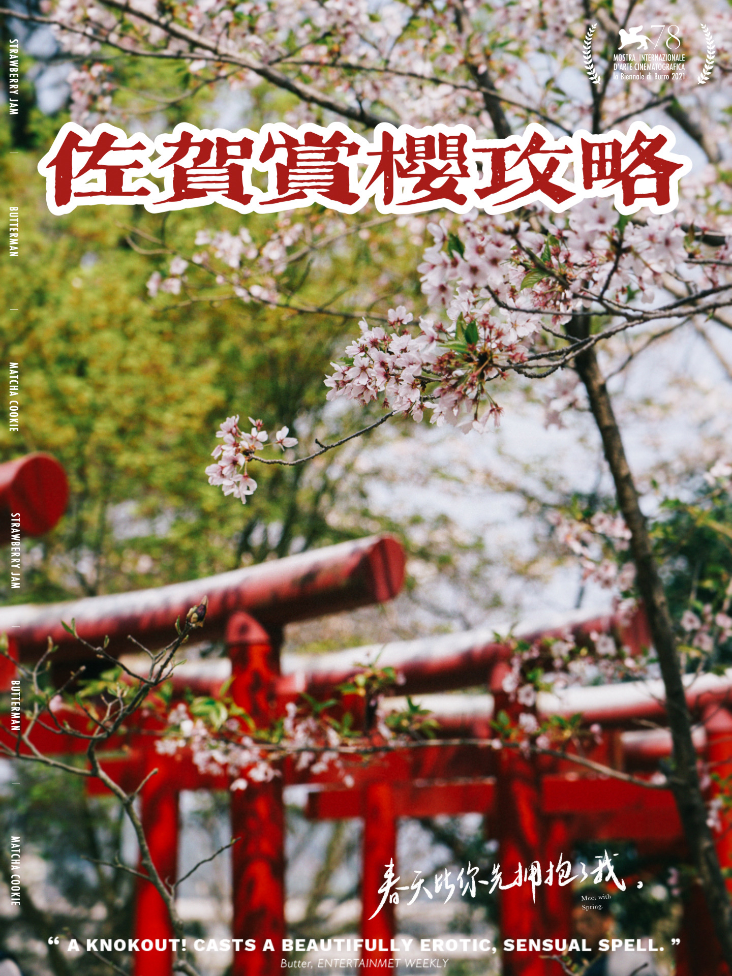 日本九州🌸4月赏樱推荐🌸佐贺深度游攻略