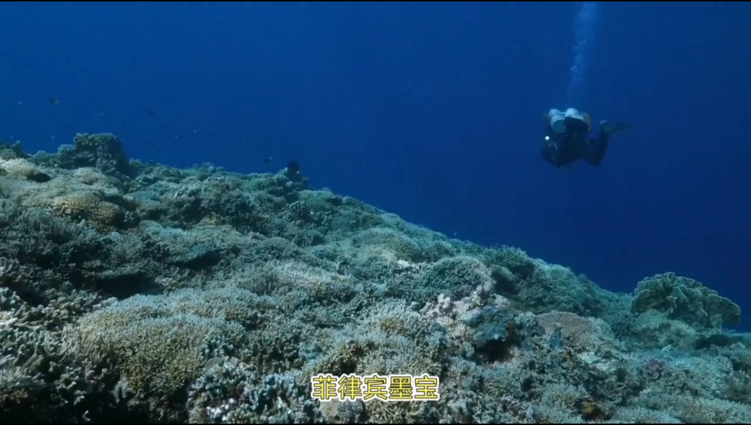 菲律宾墨宝：潜水天堂，海洋生物丰富