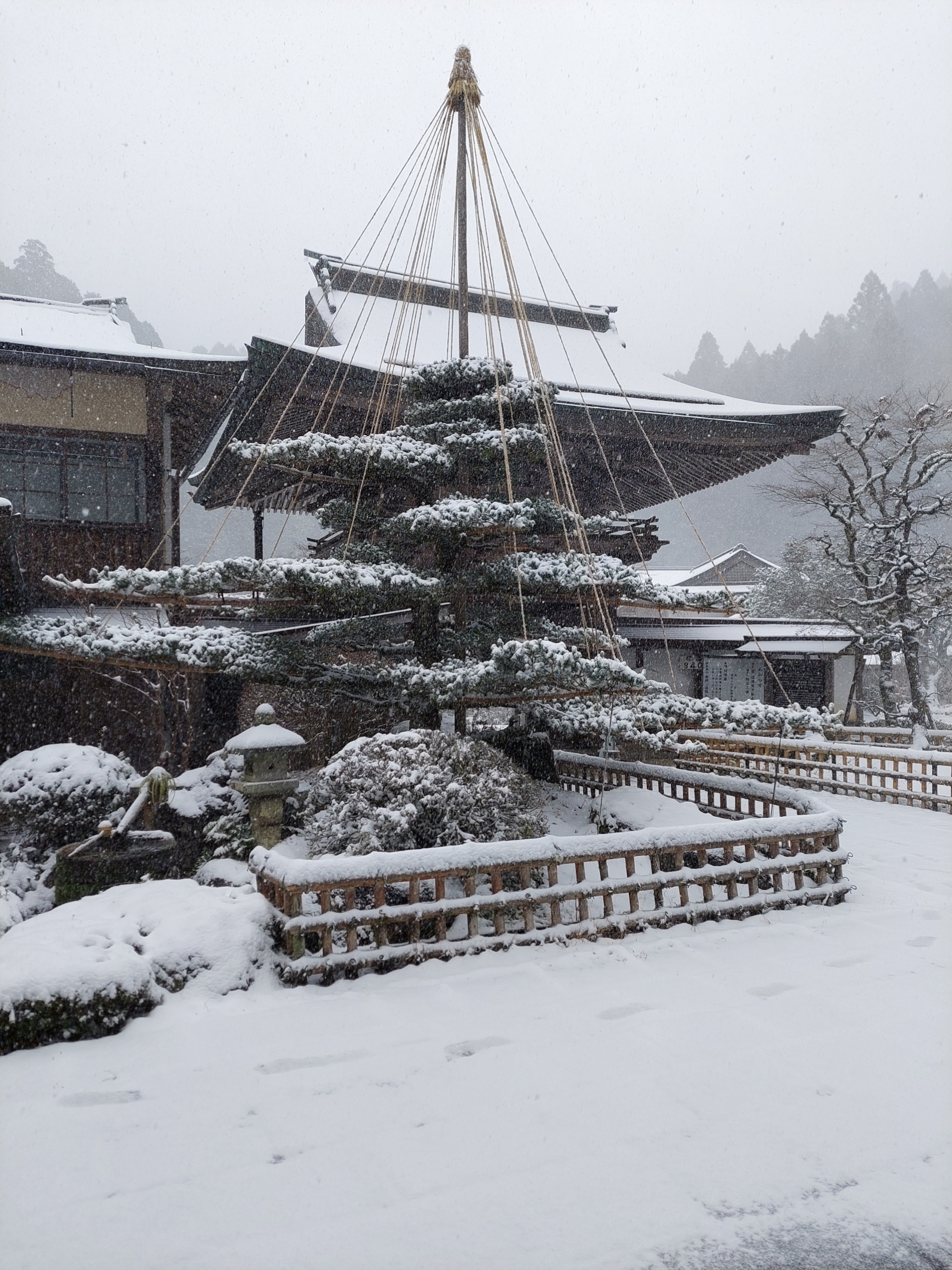 日本高野山