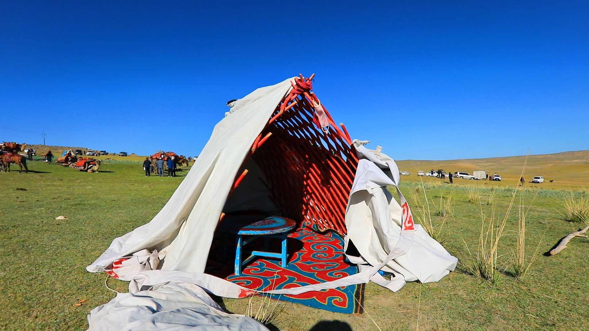 来新疆叭，看一看美丽的草原，迁徙的羊群，善良的人们