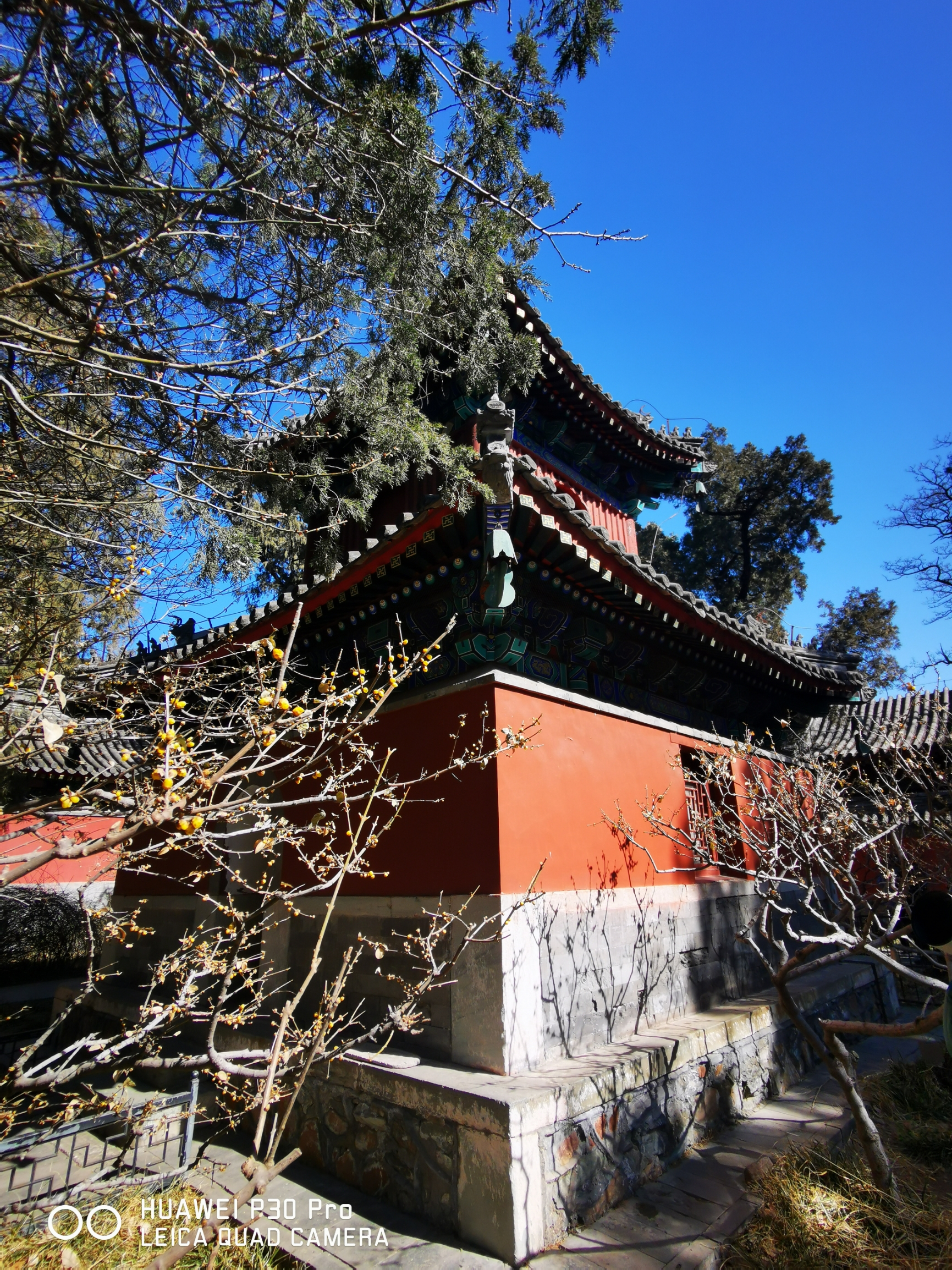 北京国家植物园卧佛寺