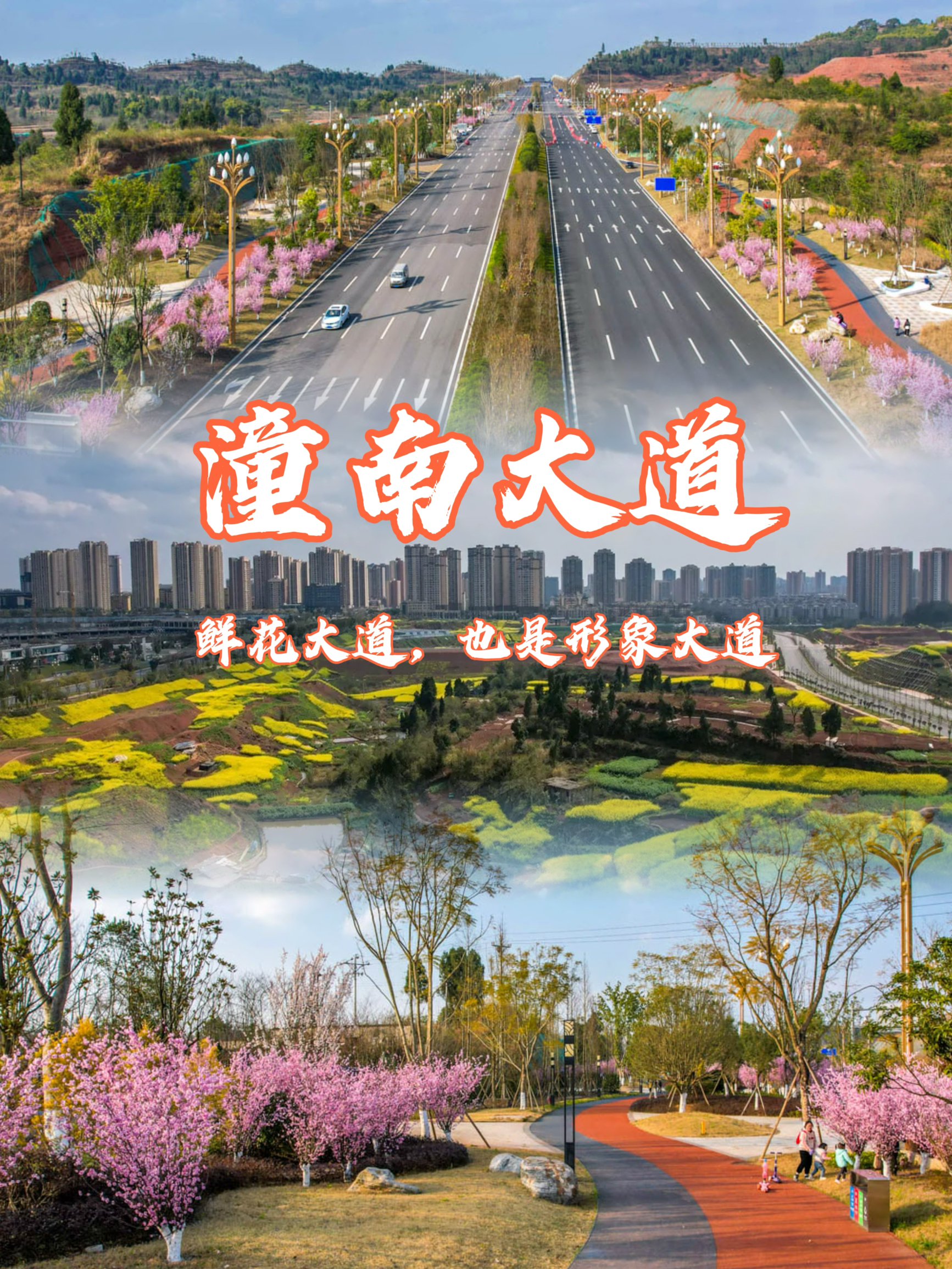 潼南大道，既是一条迎宾大道，也是一条鲜花大道