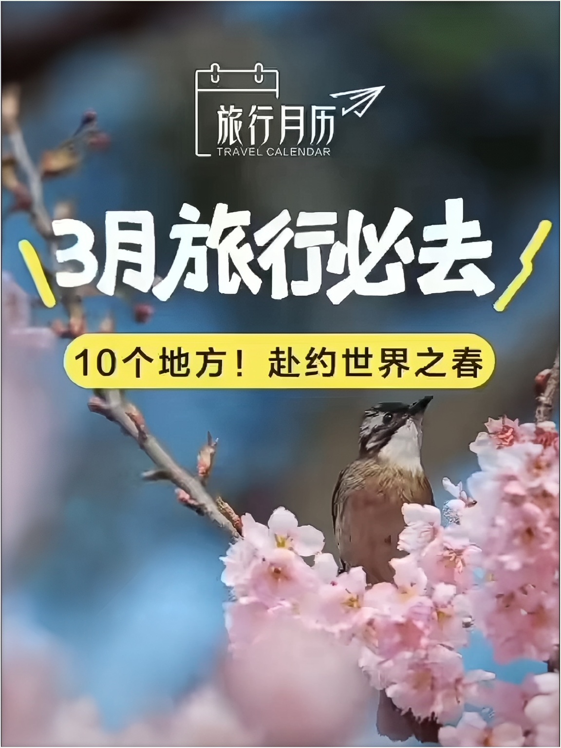 3 月，是时候出去走走了😜！10 个让你打开思路的地方🌷🌴