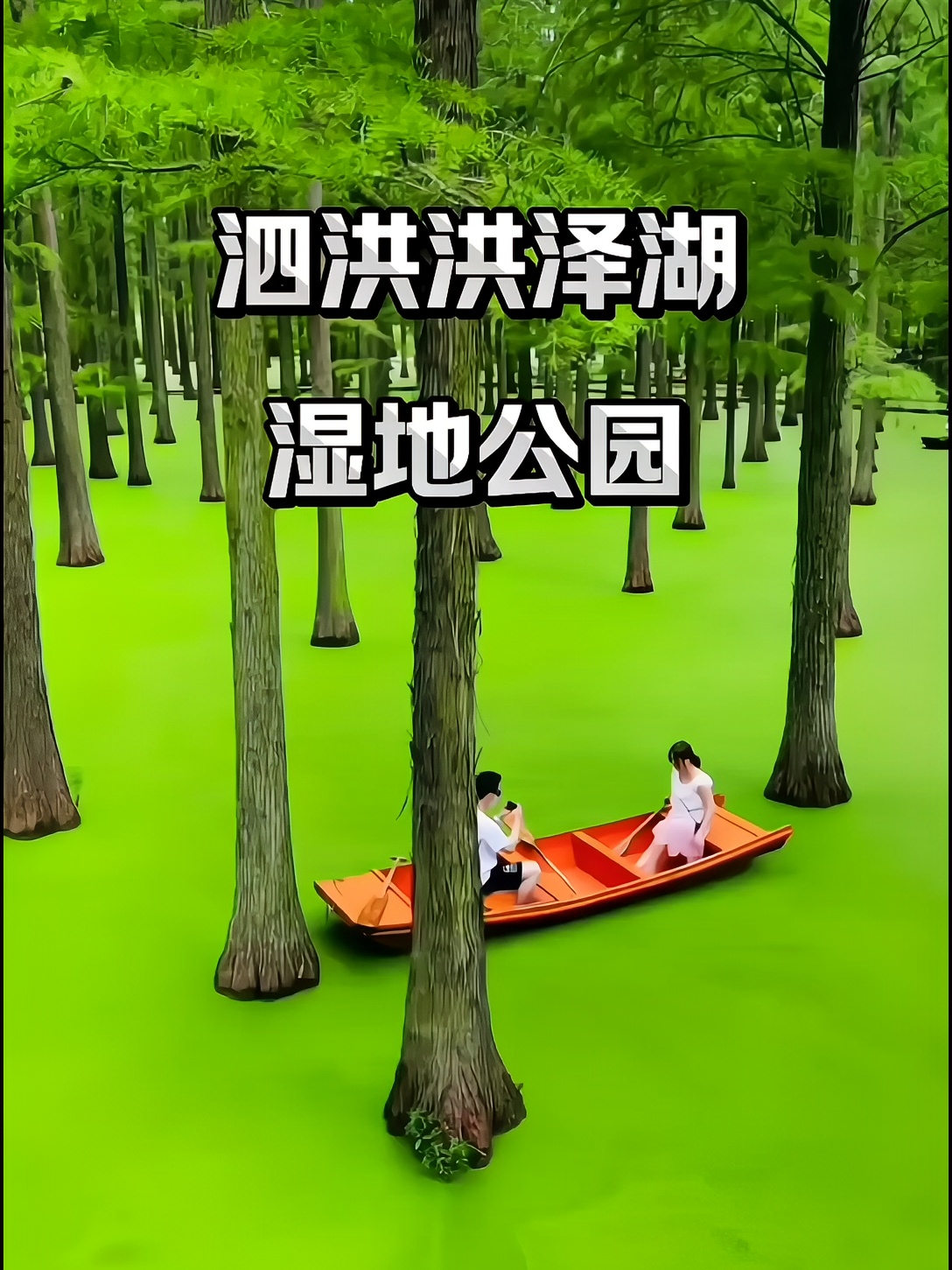 泗洪洪泽湖湿地公园