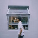 蛋黄是只拉不拉猪