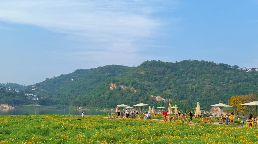木洞中坝岛
