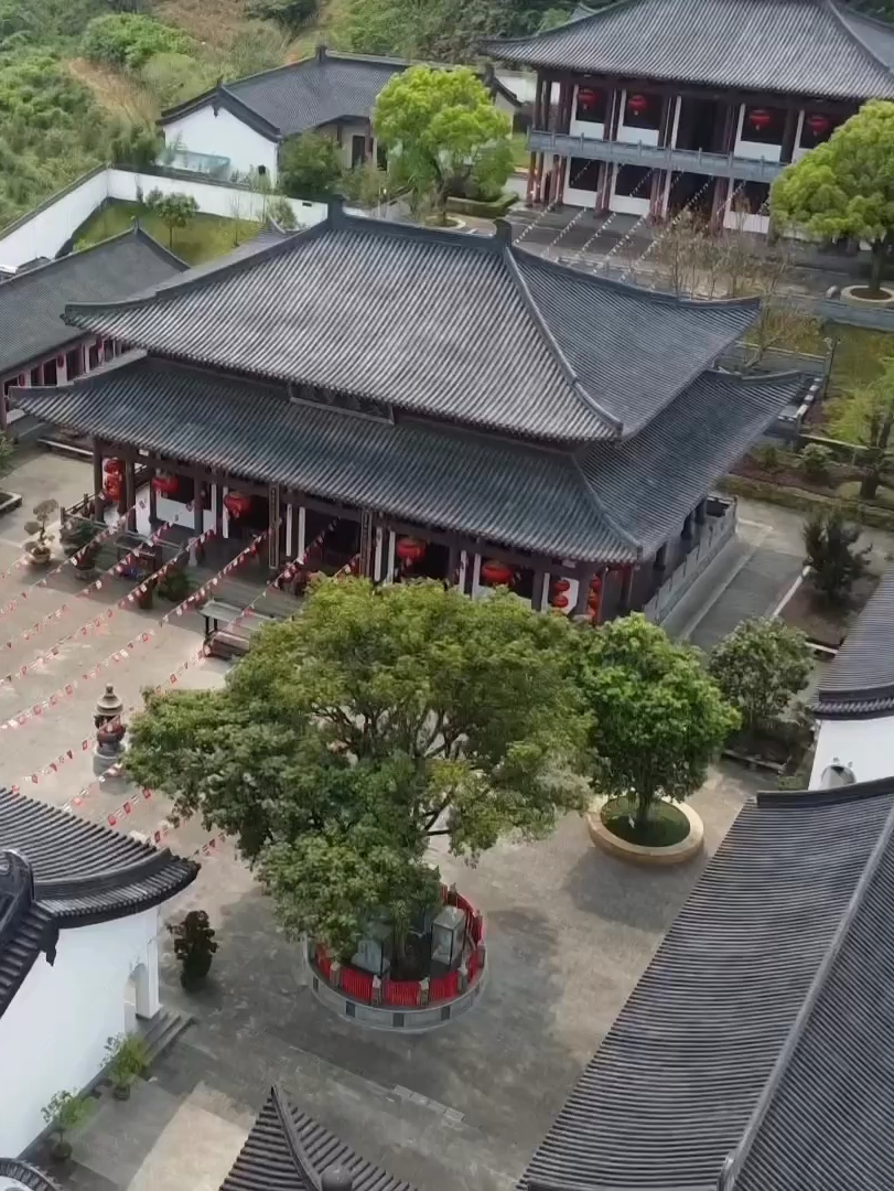 宝华山寿佛寺：一念净心，花开遍世界