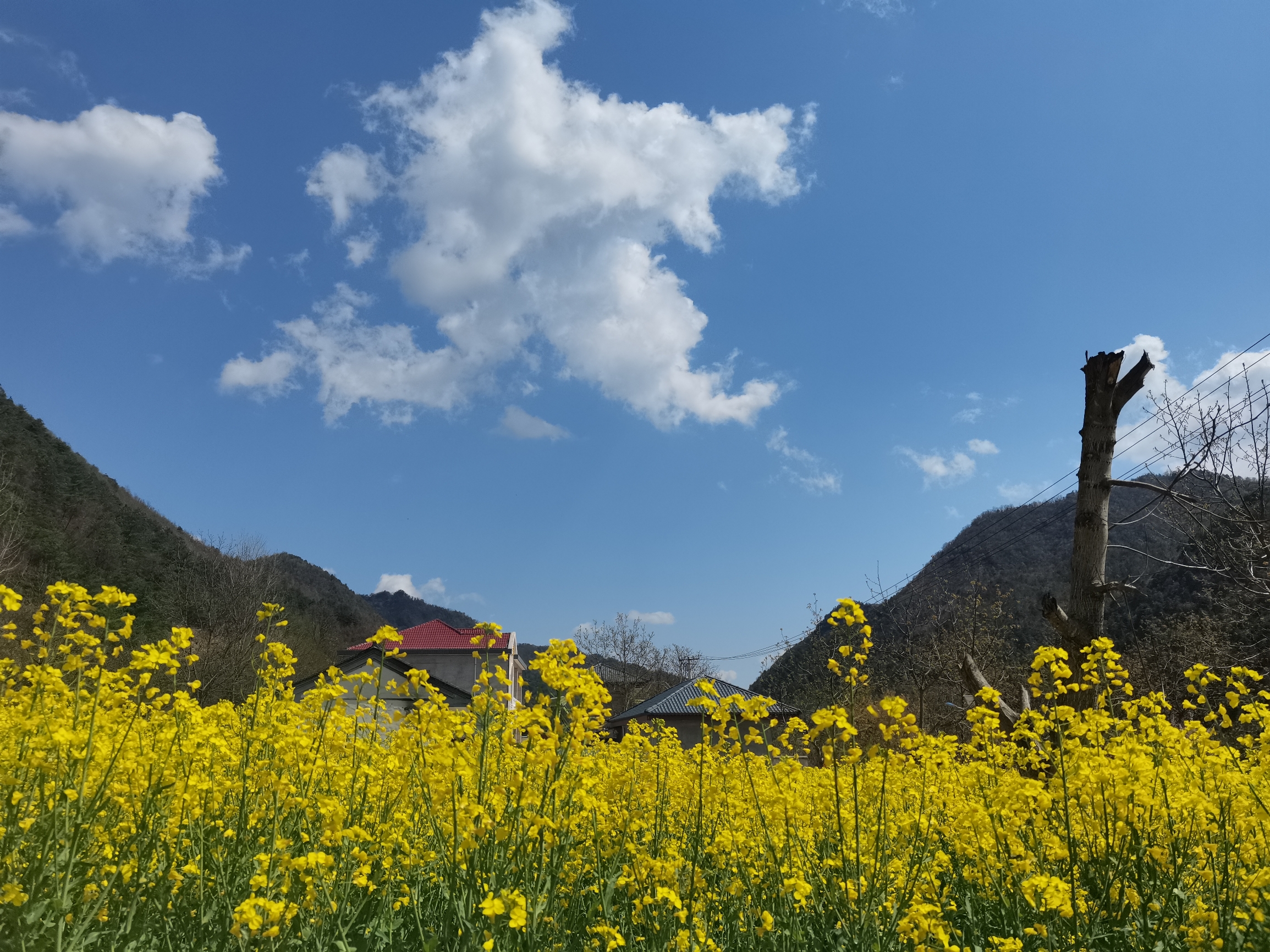 晴空万里欣赏美景