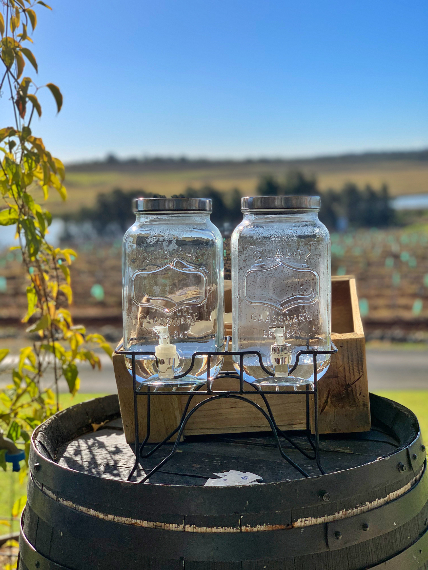 4 Pines Manly - Brew Pub餐厅图片