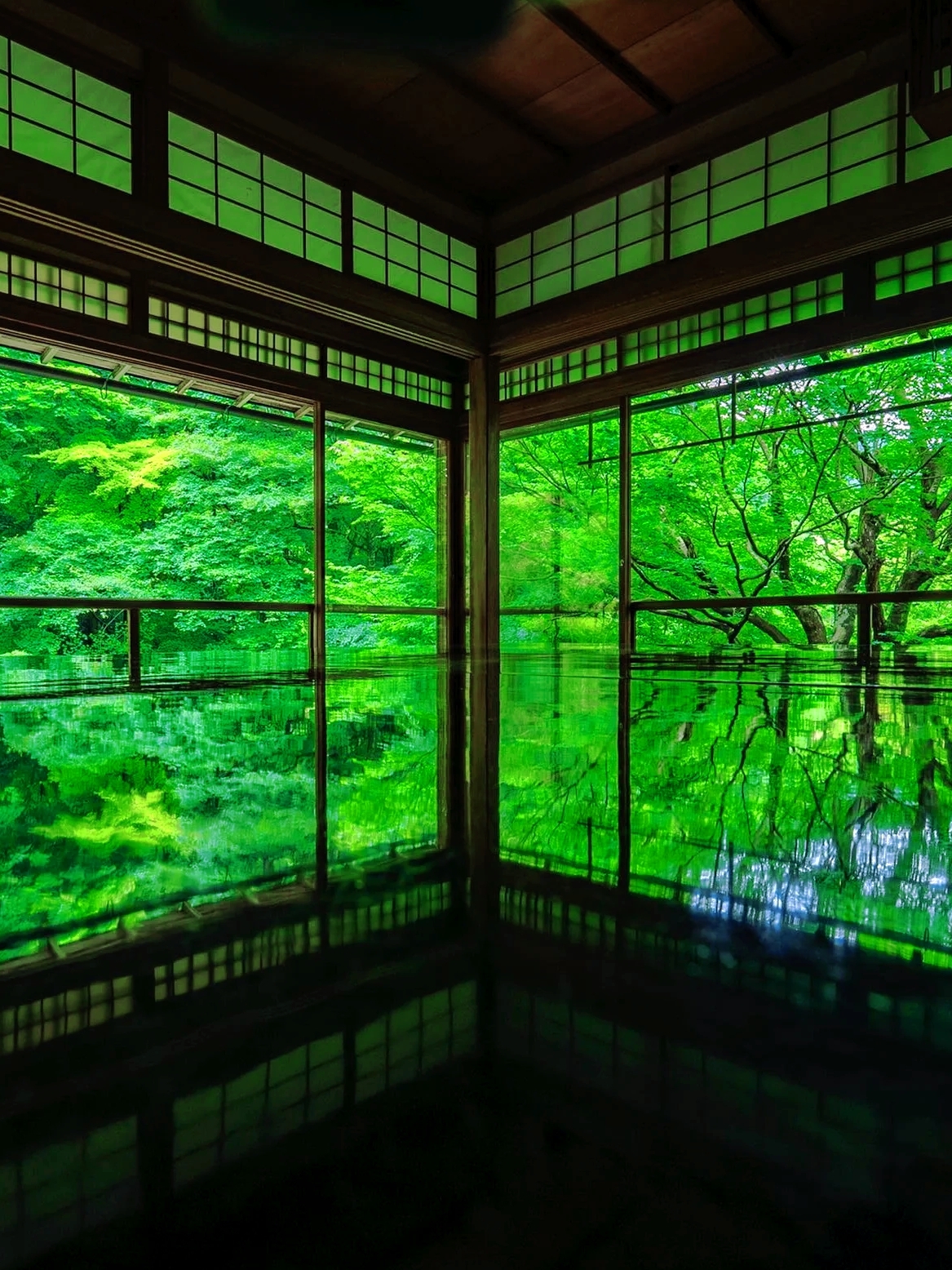 人生建议:日本必去8个风景如画的打卡圣地1足立美术馆连续19